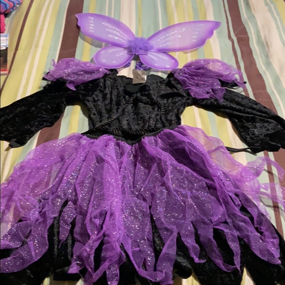 Girls Fairy Costume. EUC!